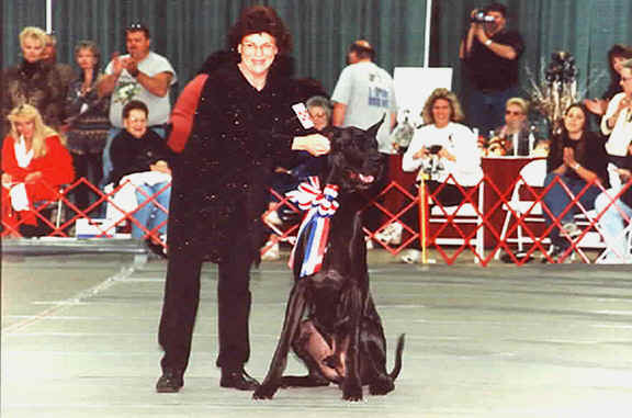 nationals_2001_parade_ch_sharcons_delinquent_kid_cd_cgc_tdi_and_deedee_czisnyrw.jpg